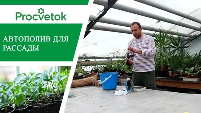 Теплица для помидоров своими руками - YouTube