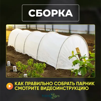 Готовим парник для рассады - KP.RU