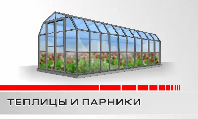 Любимая дача: в чем разница между теплицей и парником - KP.RU