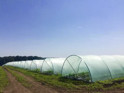Парники, стелажи, теплицы \"Урожайная сотка\", купить в Екатеринбурге -  СадХозТорг