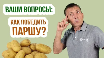 ПАРША НА КАРТОФЕЛЕ. | Fermer.Ru - Фермер.Ру - Главный фермерский портал -  все о бизнесе в сельском хозяйстве. Форум фермеров.