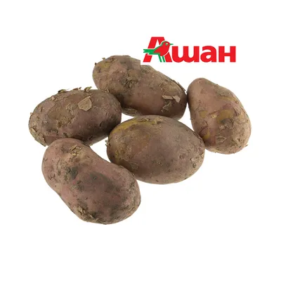 Картофель Жуковский ранний. Купить клубни от НПО Сады России
