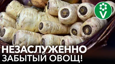 Полезно мужчинам и женщинам в радость. Витамины на рынке Чернигова | Новини