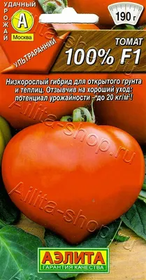 Как подвязать помидоры в теплице и открытом грунте - Лайфхакер