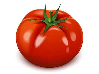 Как правильно пасынковать помидоры, чтобы увеличить урожай - Главред