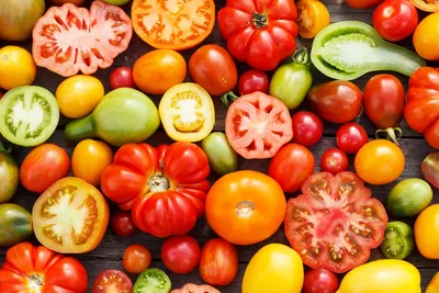 Помидоры Маленький Ручей - Tomato Small Stream | Дом Помидоров - Помидом