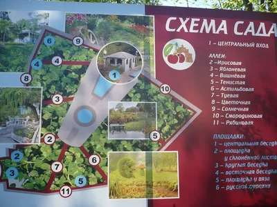 Патриаршие сады восемь месяцев судятся с ВКС - Владимирские новости.  Новости Владимира и Владимирской области, сегодня и сейчас