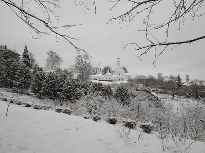 Парк культуры Патриарший сад - отзывы, фото, цены, телефон и адрес -  Развлечения - Владимир - Zoon.ru