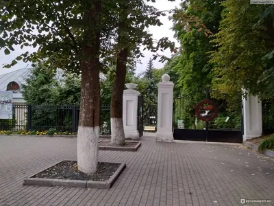 Театральная школа-студия В. Г. Лаптева, театральное и цирковое образование,  ул. Козлов Вал, 5, Владимир — Яндекс Карты
