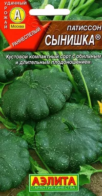 Что за зверь — патиссон, и зачем он нужен? | Блог Ешь-Дервенское