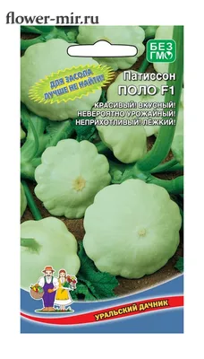 ПАТИССОН \"ЖЕЛТЫЙ\": купить патиссон \"Желтый\" почтой | PLOD.UA