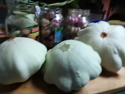 Патиссон - настоящие фермерские продукты - Патиссон, красив необыкновенно..  Не сложно догадаться какой овощ покорил нас своей причудливостью 🤗  Патиссон, или тарельчатая тыква, получил свое название от французского  слова, обозначающего пирог ...