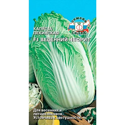 Капуста Пекинская Любаша – купить семена в интернет-магазине Лафа с  доставкой по Москве, Московской области и России