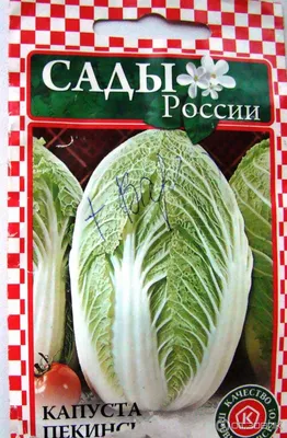 После каких растений нельзя сажать капусту – что нельзя чередовать на  огороде | OBOZ.UA