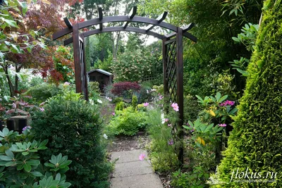 МЕТАЛЛИЧЕСКИЕ ПЕРГОЛЫ-КОМФОРТНЫЙ ОТДЫХ В САДУ | Интернет-магазин Garden  Space