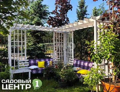 Пергола в ландшафтном дизайне