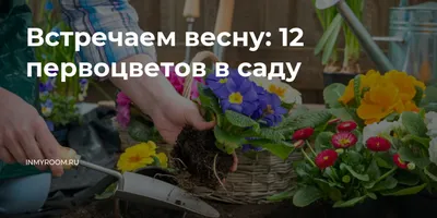 Весенние цветы в саду: ТОП популяных первоцветов, время посадки и цветения