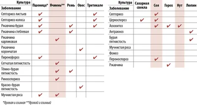 АГРОЛАЙФХАКИ 2022 ПО ВЫРАЩИВАНИЮ ОЗИМОЙ ПШЕНИЦЫ | Токмаков Никита |  Сельское Хозяйство | Дзен