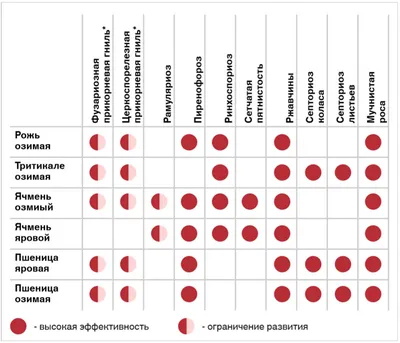 ЗАБОТА О ФЛАГОВОМ ЛИСТЕ – СЛЕДУЮЩИЙ ЭТАП В ЗАЩИТЕ ОЗИМЫХ КОЛОСОВЫХ |  Российский аграрный портал