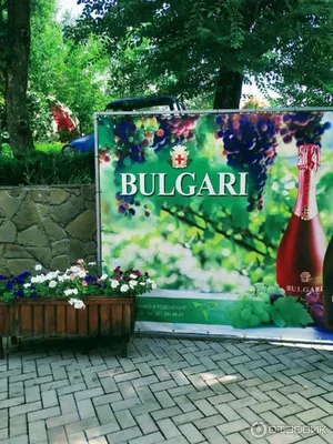 Фламинго Донецк отзывы. Рестораны.