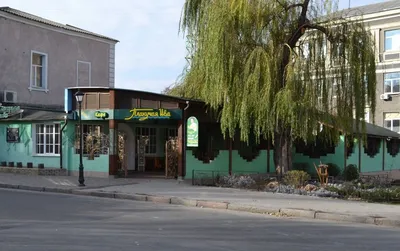 Плакучая Ива - Изображение Плакучая Ива VerTu, Донецк - Tripadvisor