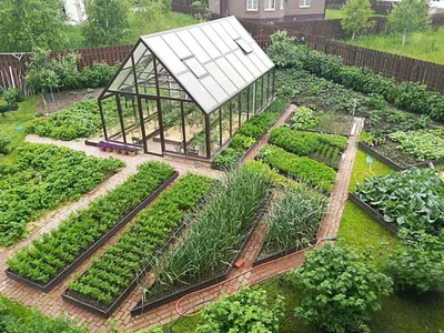 Планировка сада - варианты схем расположения плодовых деревьев и кустарников