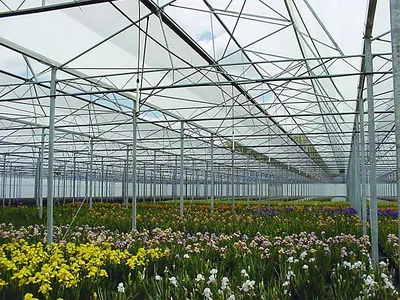 Китайская многопролетная пленочная теплица с системой NFT для поставщиков,  производителей, фабрики листовой зелени - Сделано в Китае - JIANDA  GREENHOUSE