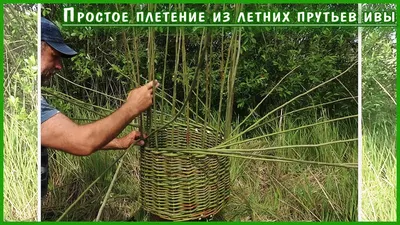 Плетение из бересты, дранки, ивы