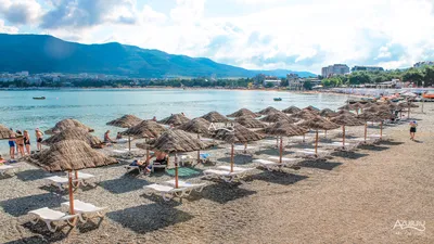 Фотогалерея Пляж \"Сады Морей\" в Геленджик | Фото на сайте Azur.ru