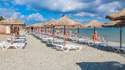 Пляж сады морей геленджик фото фотографии