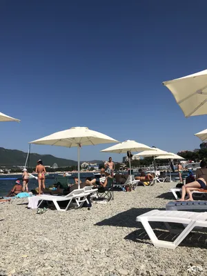 ГЕЛЕНДЖИК ❤ МОРЕ🌊 ГОРЫ⛰ ОТДЫХ🏖 on Instagram: “Сады морей Геленджик 😍🤍  Кстати, сегодня была отличная погода👍😉 и такую погоду обещ… | Геленджик,  Погода, Отдых