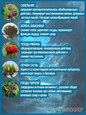 Материал для работы с детьми над проектом по теме «Это не овощ, это не  фрукт, на хвойных деревьях красиво растут» (8 фото). Воспитателям детских  садов, школьным учителям и педагогам - Маам.ру