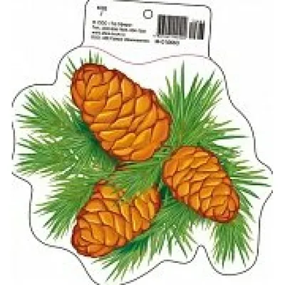 Плоды сосны сосны сливы тис Macrophyllus Podocarpus буддийской и сосны  папоротника в парке Сочи. Стоковое Фото - изображение насчитывающей хвоя,  ландшафт: 205523560