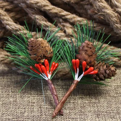 Ветви Полные Плодов Pinus Pinaster — стоковые фотографии и другие картинки  Сосна приморская - Сосна приморская, Pinaceae, Без людей - iStock
