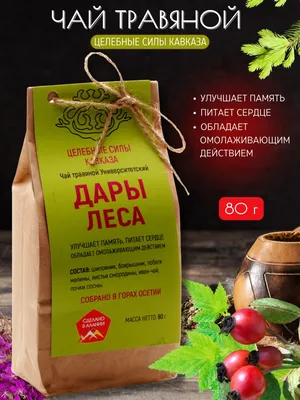 Грибы и ягоды запретили собирать в районе Челябинской области │ Челябинск  сегодня