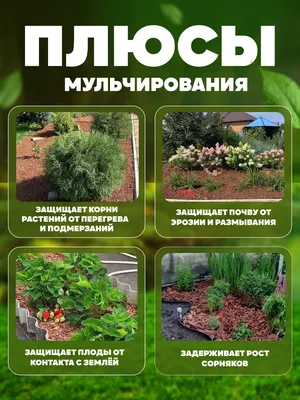 Крымский Травник Крымский сироп бальзам для суставов и вен