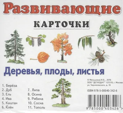 ОРНИТОЛОГИЧЕСКИЕ НОВОСТИ С УЧЕТНОГО МАРШРУТА НА ЯЙЛИНСКОЙ ТЕРРАСЕ И НЕ  ТОЛЬКО. Сентябрь 2019 — Алтайский биосферный заповедник