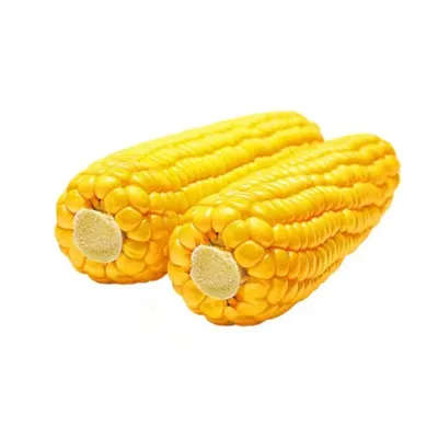 Початок кукурузы , эстетично, красиво…» — создано в Шедевруме
