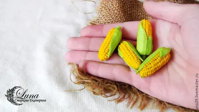 Кукуруза овощи с огорода эстетика кукурузы початок | Эстетика, Кукуруза,  Подсолнухи