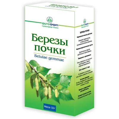 Березовые почки – купить почки березы по низкой цене в магазине У Елыча