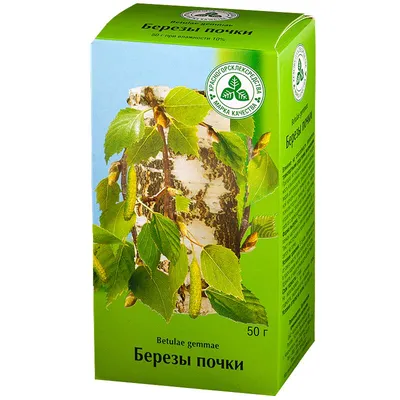 Береза почки | Купить в Карагандинской области | Цены на Satu.kz