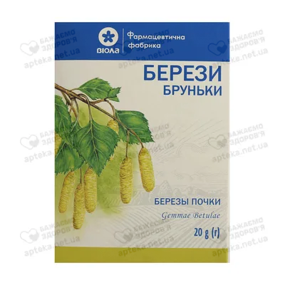 Купить почки березовые