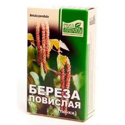 Березовые почки - купить по цене 310 р, | Аптека \"Русские Корни\"