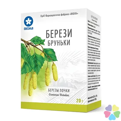 Почки березы от почек | Лекарственные растения | Дзен