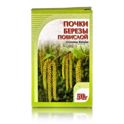 Березы почки 50г В аптеке в Москве