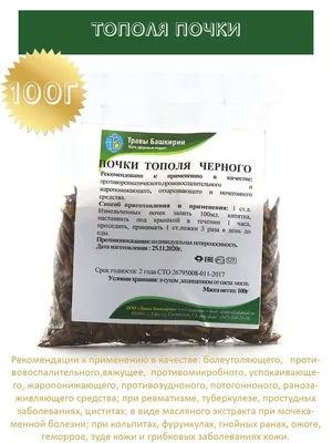 Эмбриональные побеги бутона липы макровид ветки дерева почки мягкий фон  весеннее время концепция | Премиум Фото