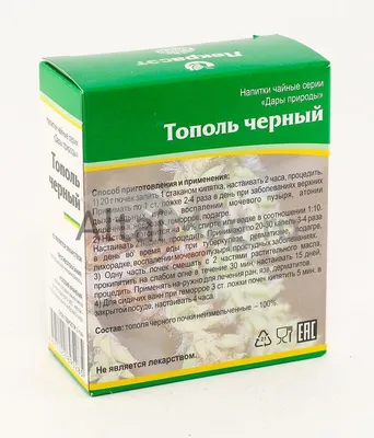Почки черного тополя купить в Москве | Зеленая лавка