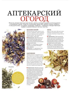 Лавка здоровья Тополь черный почка 100 гр \"Лавка здоровья — купить в  интернет-магазине по низкой цене на Яндекс Маркете