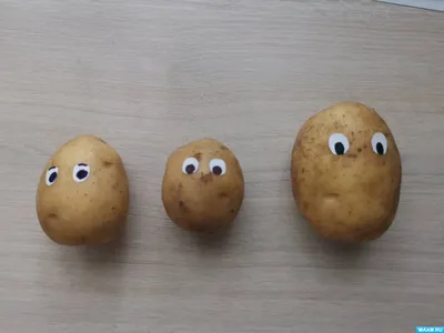 Поделки из овощей - 69 фото