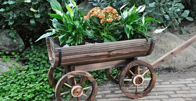 Поделки из Дерева